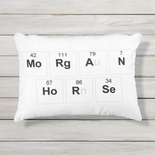 Coussin de cheval de Morgan