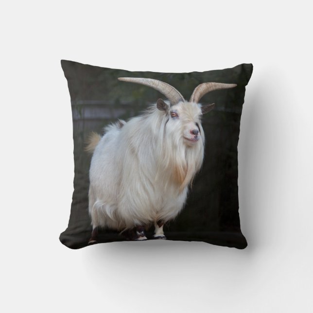 Coussin de Chèvre Pygmée Africaine (Recto)