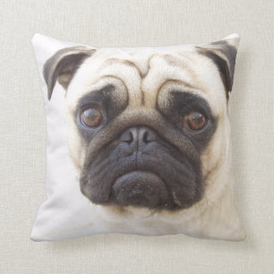 Coussin de chien de carlin