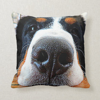 Coussin de chien de montagne de Bernese
