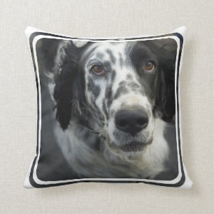 Coussin de chien de poseur anglais