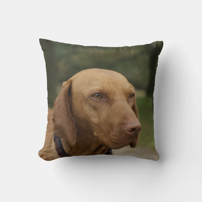 Coussin de chien de Rhodesian Ridgeback (Recto)