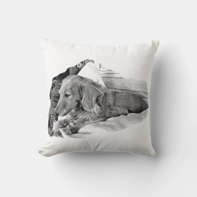 Coussin de chien hollandais au repos – Art canin m (Recto)
