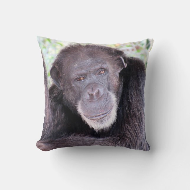 Coussin de chimpanzé (Recto)