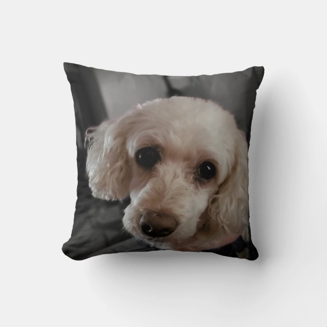 Coussin de chiot (Recto)