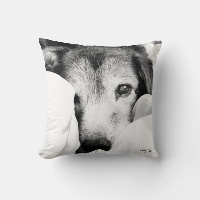 coussin de chiot à chien endormi noir blanc (Recto)