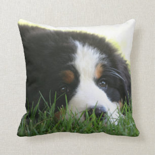 Coussin de chiot de Bernese