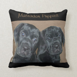 Coussin de chiots de Mastador