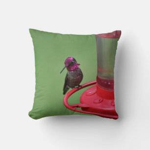 Coussin de colibri d'Anna masculine