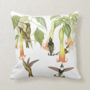 Coussin de colibris de Goulds