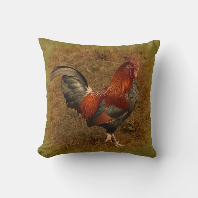 Coussin de coq (Recto)