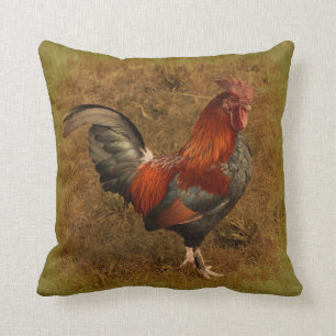 Coussin de coq