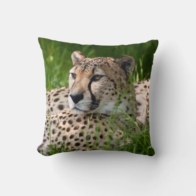 COUSSIN DE COUSSIN DE GUÉPARD (Recto)