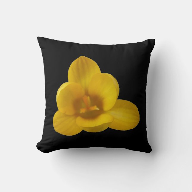 Coussin de crocus jaune (Recto)