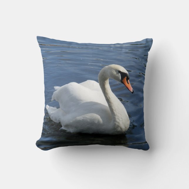 Coussin de cygne muet (Recto)