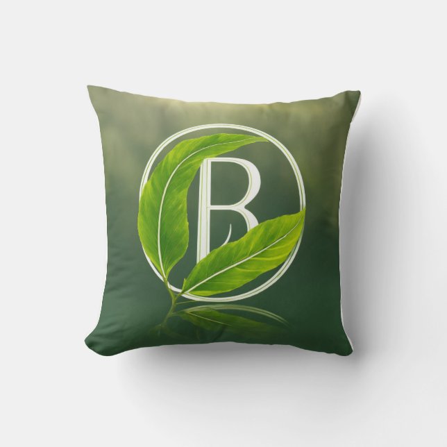 Coussin de décoration (Recto)