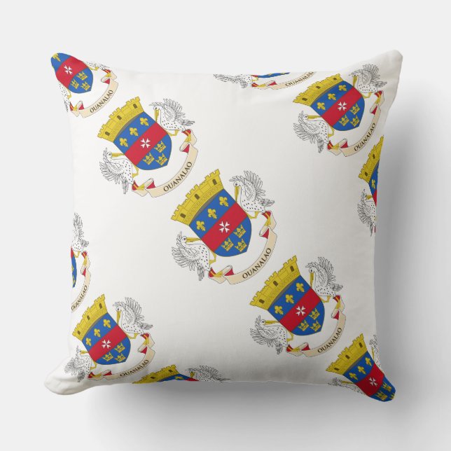 Coussin "de drapeau de St Barth" de Paul McGehee (Recto)