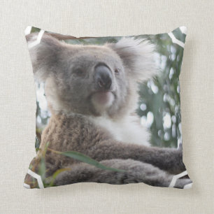 Coussin de faits d'ours de koala