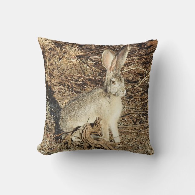 Coussin de faune, lapin (Recto)