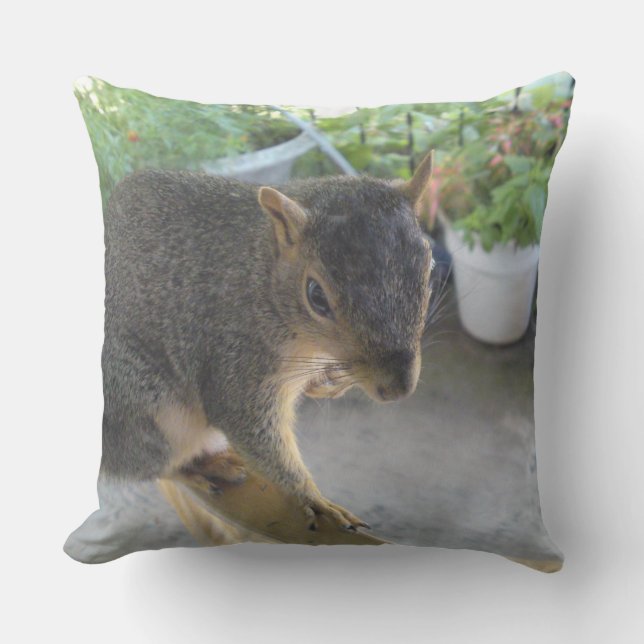 Coussin de fermeture d'écureuil (Recto)