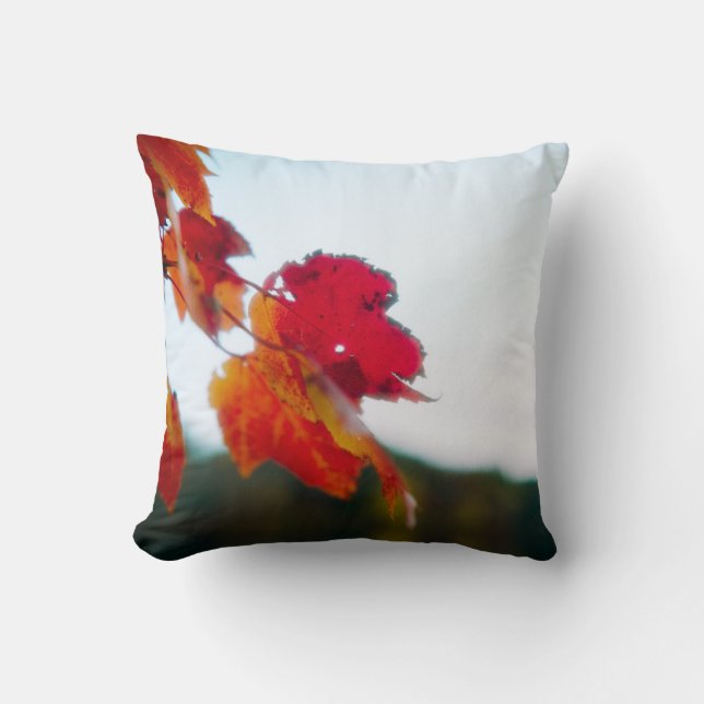 Coussin de feuillage d'automne (Recto)