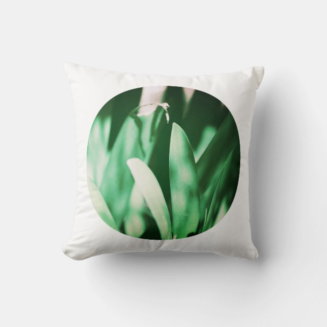 Coussin de feuilles de Clivia vert pâle (Recto)