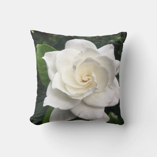 Coussin de fleur blanche (Recto)