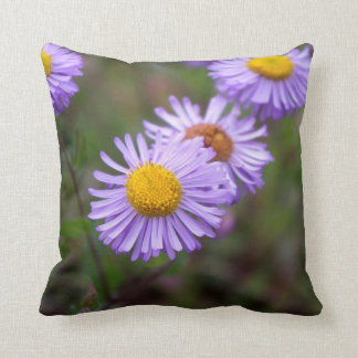 Coussin de fleur de marguerite d'Aspen Fleabane