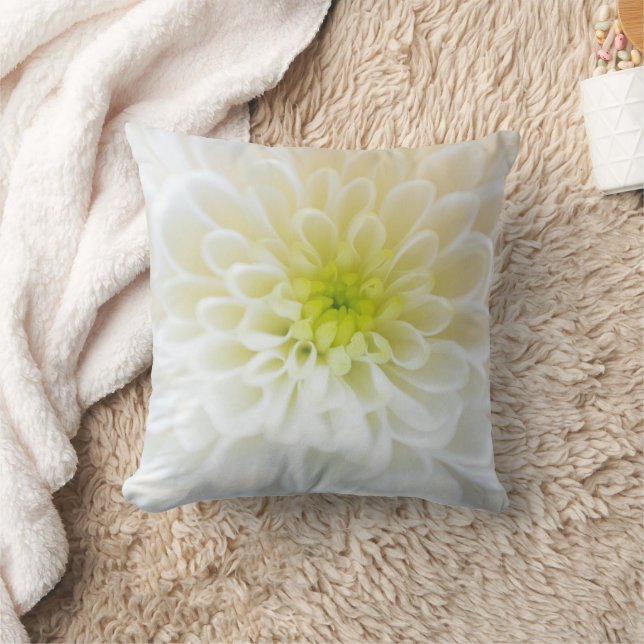 Coussin de fleurs blanches (Couverture)