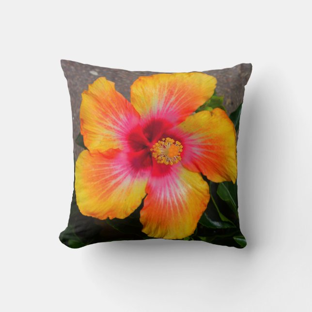 Coussin de fleurs de feu (Recto)