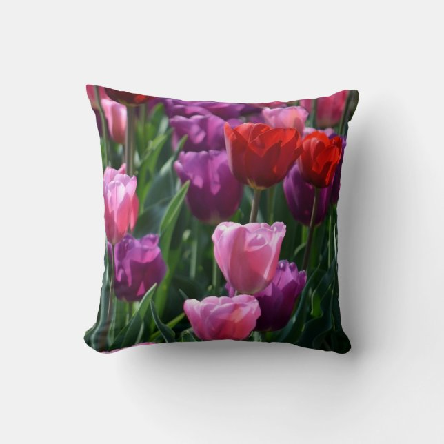 Coussin de fleurs de tulipes colorées (Recto)