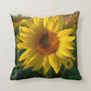 Coussin de floraison de tournesol