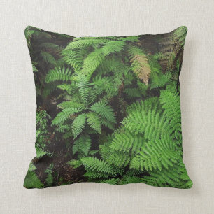 Coussin de fougères de la Nouvelle Zélande