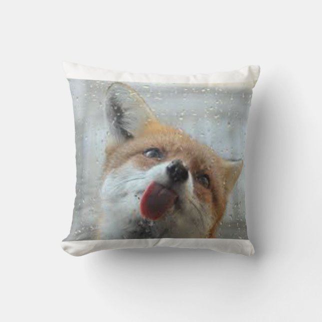 Coussin de Fox (Recto)