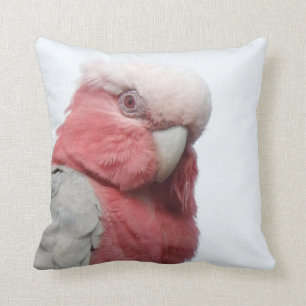 Coussin de Galah