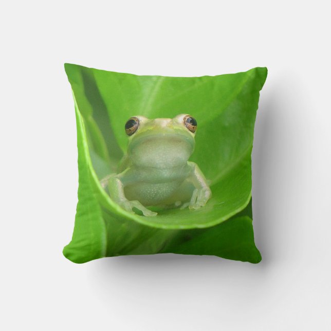 Coussin de grenouille à arbre vert (Recto)
