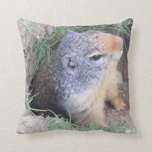 Coussin de Groundhog