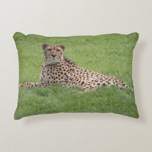Coussin de guépard (Devant)