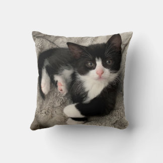 Coussin de Happiness Kitten
