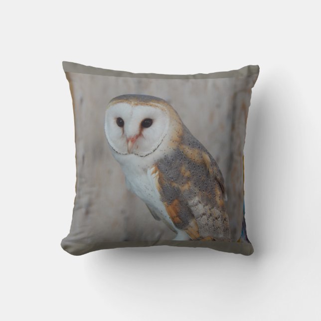Coussin de hibou d'imaginaire (Recto)