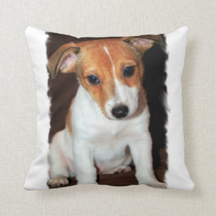 Coussin de Jack Russell Terrier