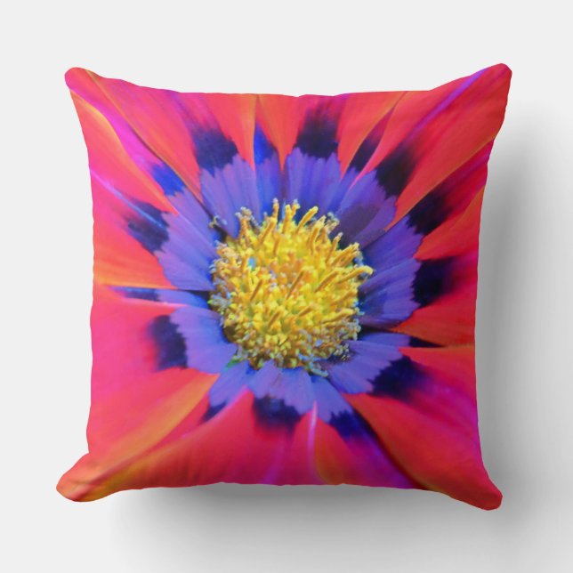 Coussin de jet (Recto)