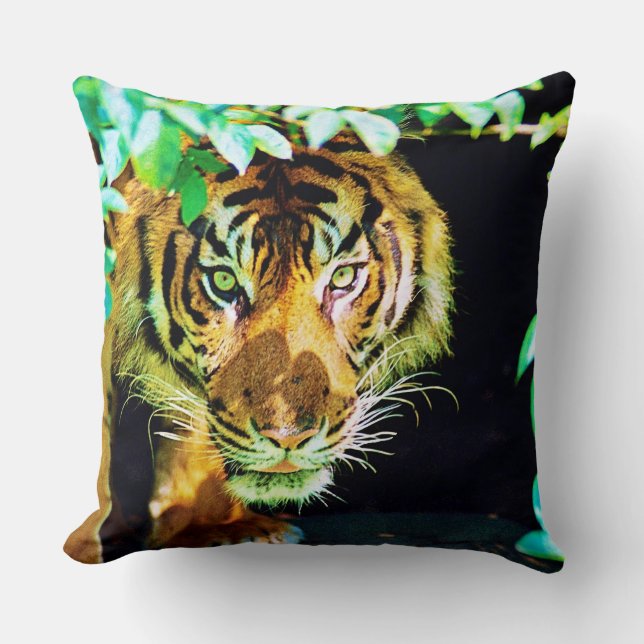 Coussin de jet (Recto)