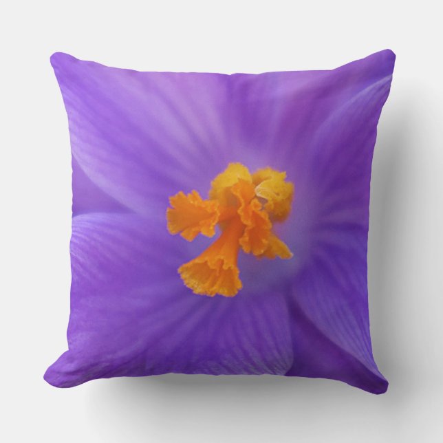 Coussin de jet (Recto)