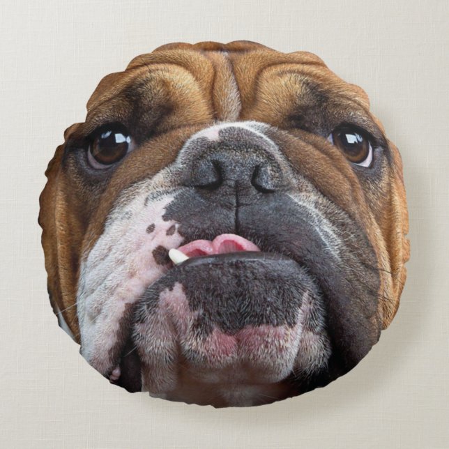 Coussin de jet de Bouledogue Anglais (Devant)