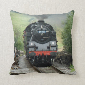 Coussin de jet de coussin de train de vapeur