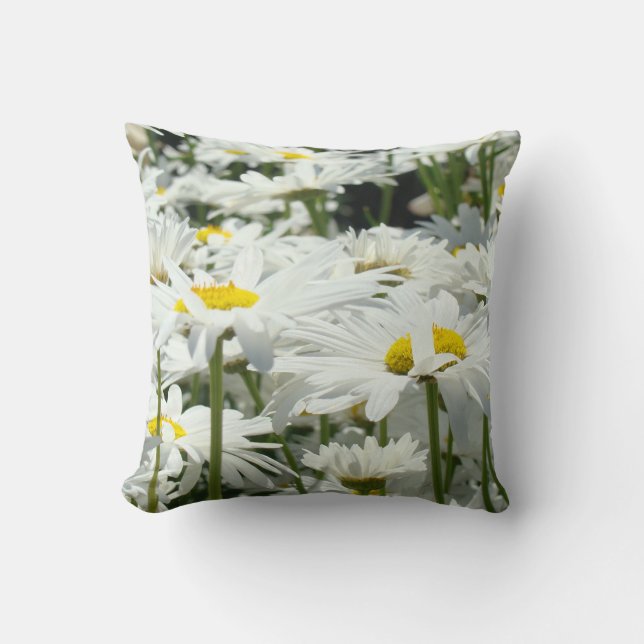 Coussin de jet de fleurs de marguerite Marguerites (Recto)