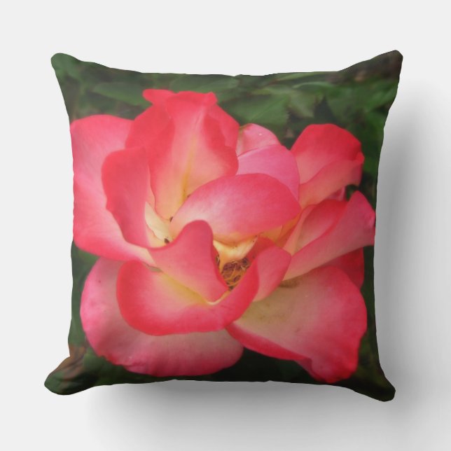 Coussin de jet extérieur Red Rose (Recto)
