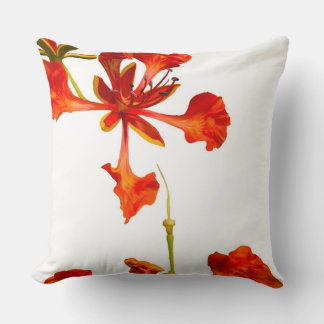 Coussin de jet Fleur de Poinciana royale