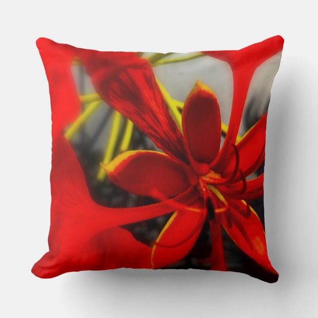 Coussin de jet fleur de Poinciana royale (Recto)